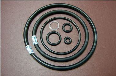 China High quality AFLAS O-ring supplier