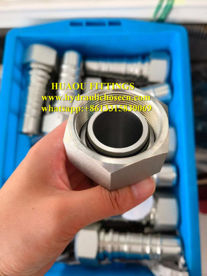 China hydraulic fittings / hose fittings / carbon steel fittings / stainless steel fittings /Metric, JIS, JIC, ORFS, BSPT, SAE supplier