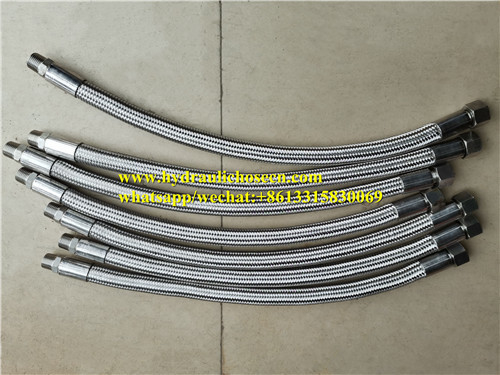 Customizable End Fittings SS304 Brake Hose for Long-Lasting Performance supplier